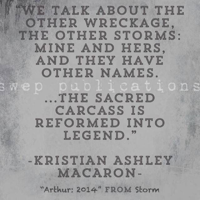 arthur2014 kristian macaron